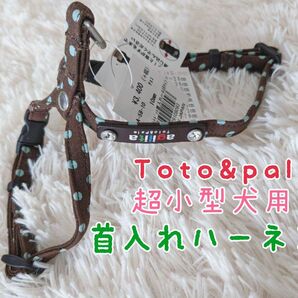 コットン100%素材!可愛い Toto&palトトパル◯超小型犬首入れハーネス胴輪茶スワロ八の字8の字型ハーネス