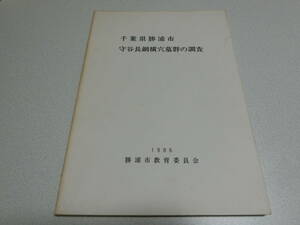 千葉県勝浦市 守谷長綱横穴墓群の調査