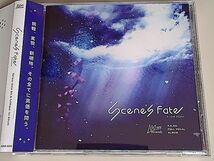 《BMS/beatmania》 Scene’s Fate (シーンズフェイト)/ 100sec Records 　(tiyes sink)_画像1