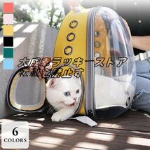 ペット キャリー ケース 犬 猫 キャリーバッ クリア リュックキャリー 2way 透明 リュックタイプ グ ケージ z1762_画像1