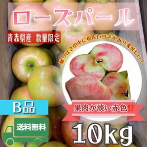 ＂ ローズパール ＂ 【青森県産りんご10kg】【産地直送】【即購入OK】【送料無料】家庭用 りんご リンゴ 林檎