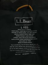 L.L.Bean◆ダウンジャケット/L/ナイロン/BLK_画像3