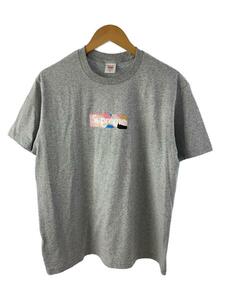 Supreme◆×EMILIO PUCCI/Tシャツ/M/コットン/GRY/Box Logo Tee/21SS