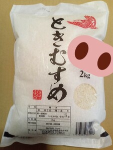 【送料込】令和5年度 新潟県産コシヒカリ ときむすめ 2kg NGT48 小越春花 直筆メッセージ入り