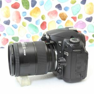 ◇Nikon D80 ◇Nikonだったらこれ一択 ◇扱いやすい本格一眼レフ