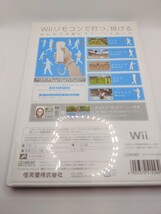 Nintendo Wii Sports ソフト 5S-5800 【動作確認済み】 2_画像2