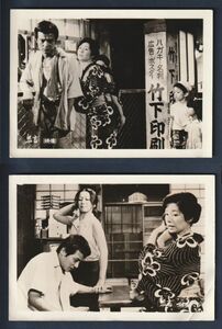 スチール写真■1978年【鬼畜】[ B ランク ] 2枚セット/野村芳太郎 松本清張 緒形拳 岩下志麻 小川真由美