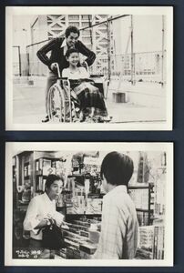 スチール写真■1980年【サッちゃんの四角い空】[ A ランク ] Ver.a/2枚セット/長谷部利朗 丘さとみ 犬塚弘