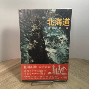 111p●カラー北海道 山渓カラーガイド 昭和43年 栗谷川健一 山と渓谷社　ガイドブック 観光写真集