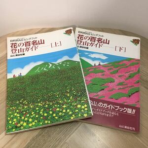 111p* flower. 100 name mountain mountain climbing guide top and bottom 2 pcs. set purpose another Alpen guide * big foot mountain ... company 1996 year rice field middle ..