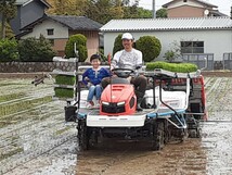 無農薬米新潟県産コシヒカリ5k_画像3