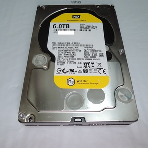 WD Re 6TB WD6001FSYZ Western Digital データセンター向けHDD イエロー