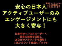 日本人【有名インフルエンサー活用中！】日本人1000人インスタフォロワー増加　SNS YouTube Instagram 増加ツールプレゼント_画像2