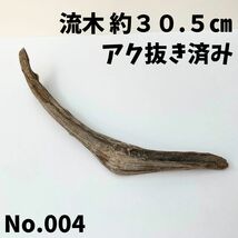 流木 約３０.５㎝ アク抜き済み 水草の活着 アクアリウム インテリア ハンドメイド 爬虫類_画像1