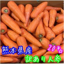 熊本県産 訳あり人参 箱込み約20キロ_画像1