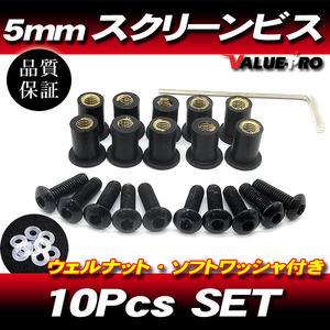 アルミ スクリーンビス M5 10本セット 黒 ブラック / スクリーンネジ NS-1 NSR50 NSR80 TZR50R TZM50 YSR50 NS50F NSF100 NSRmini TZR250R