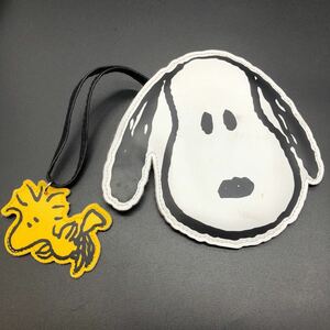  prompt decision Snoopy pass case 