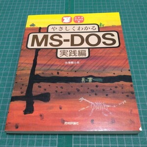 ya... understand MS-DOS practice compilation 