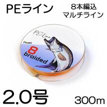 Provare PEライン 300m 2号 8本編込 マルチカラー 日本製ダイニーマ_画像1