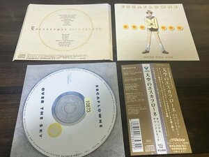 天空のエスカフローネ CD　溝口肇　菅野よう子　即決　送料200円　1129