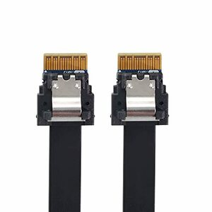 xiwai PCI-E スリムライン SAS 4.0 SFF-8654 4i 38ピン ホストからSFF-8654 スリ・・・