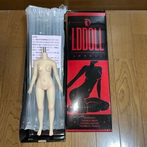 LD doll 25s 1/6 シームレス 素体　25cm 