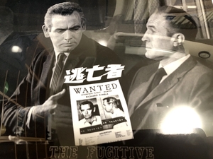 送料込み）アメリカ　テレビドラマ「逃亡者」　1960年代　デビッド・ジャンセン　バリー・モース
