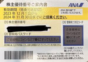 ANAグループ株主優待券 2023年下期分