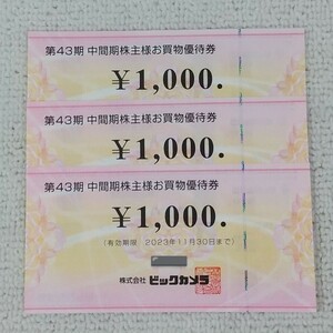 ☆送料無料 匿名配送☆ ビックカメラ お買物優待券 3000円分