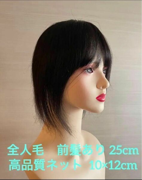 新品　高品質　ヘアピース　部分ウイッグ　全人毛 広範囲カバー　10×12 ストレート　25cm 黒色 ブラック 男女兼用 医療