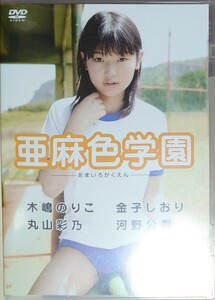 木嶋のりこ 金子しおり 丸山彩乃 河野公香 DVD「亜麻色学園」中古 廃盤 希少　匿名配送