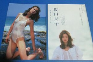 お92）切り抜き　坂口良子　8ページ　水着、透けセクシー　週刊現代　平成30年発行　