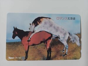  telephone card horse. . tail ①