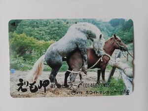  telephone card horse. . tail ②