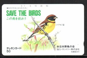 テレカ シマアオジ 日本野鳥の会 この鳥を救おう テレホンカード