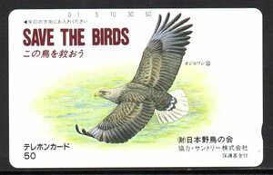 テレカ オジロワシ 日本野鳥の会 この鳥を救おう テレホンカード