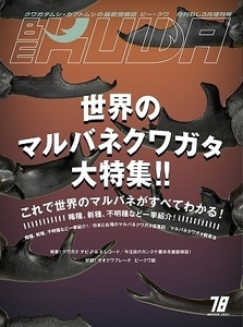 送料無料【絶版】ビークワ78号BE-KUWA78号