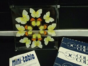 y2583　未使用保管品 レトロ　コレクターズコレクション 蝶々のミニテーブル　標本　世界の蝶をパッケージ　インテリア　オブジェ　