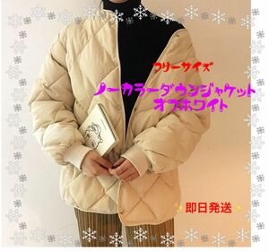 【新品未使用★これからの冬に☆】ノーカラーダウンジャケット　ホワイト　フリーサイズ　レディース