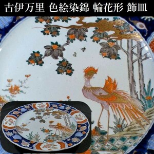 c1117 古伊万里 輪花形 色絵染錦 鳳凰花貝群文 飾皿