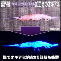 冷凍オキアミ 集魚剤 釣り餌 刺し餌用 アミノ酸 アラニン にんにく 水飴 餌締め塩 配合 紫外線加工液 ケイムラホワイト クリア 80ml ３個組_画像5