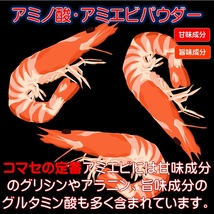 つけエサ用 集魚剤 アミノ酸 アラニン グリシン グルタミン酸 豊富 アミエビ パウダー 20g ４個組 山下漁具店 釣り侍のデコ餌シリーズ_画像3