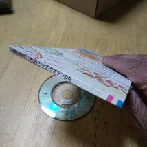 8cmCD【サボテンの花／チューリップ】1993年　送料無料　返金保証_画像2
