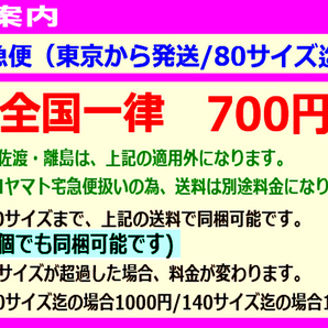 新品未開封★仮面ライダーリバイス.Chibi.ぬいぐるみ.仮面ライダーデモンズ+門田ヒロミ(小松準弥)の画像3