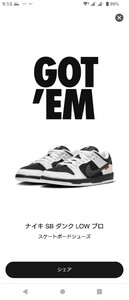 NIKE TIGHTBOOTH × Nike SB Dunk Low Pro QS Black and Whiteタイトブース × ナイキ SB ダンク ロー プロ QS ブラック アンド ホワイト