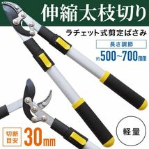 高枝切りバサミ 軽量 伸縮 枝切り鋏 高枝切り鋏 ラチェット式 剪定鋏 剪定ばさみ 太枝切り鋏 高枝切 枝切り鋏 枝きりはさみ_画像1