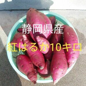 静岡県産サツマイモ紅はるか10キロ