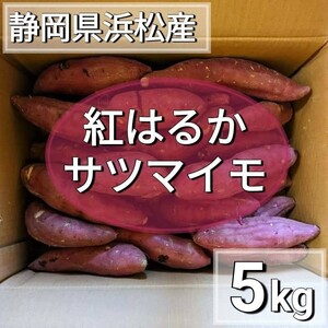 静岡県産 　紅はるか　5kg　　サツマイモ　野菜　スイーツ