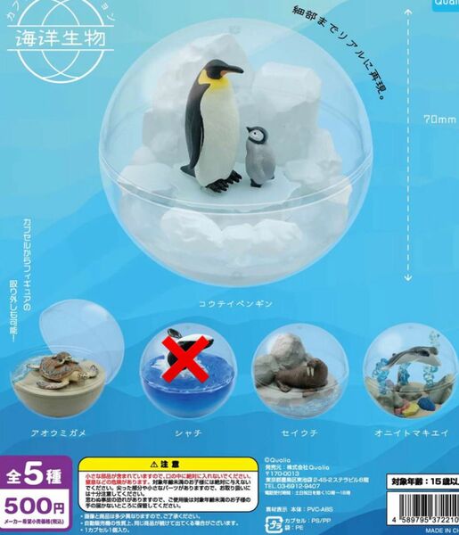 カプリウムコレクション 海洋生物 4個セット