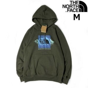 1円～!売切!【正規新品】THE NORTH FACE◆NOV GRAPHIC HOODIE プルオーバー パーカー US限定 裏起毛 グラフィック 登山(M)カーキ 181130-33